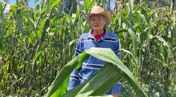 México: Pequeños agricultores alertan sobre impactos del cambio climático en la Sierra de Juárez.