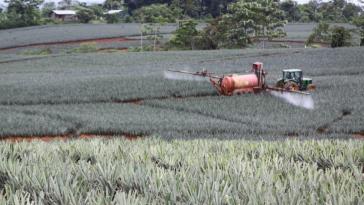 Costa Rica und der Pestizid-Einsatz
