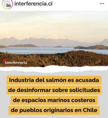 Die Lachsindustrie in Chile wird der Desinformation über die Anträge der indigenen Völker angeklagt
