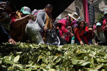 Kokablätter werden auf Märkten in Boliviens Städten verkauft. Das Kauen ist Teil einer uralten Tradition