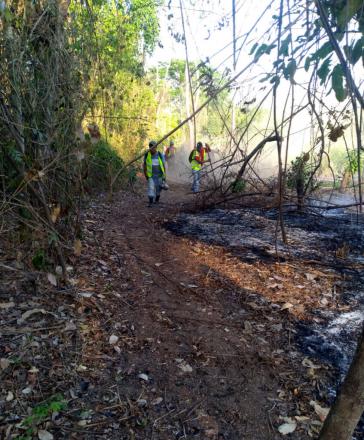 Die Forstbehörden in Honduras setzen viel Personal für die Kontrolle der Brände ein