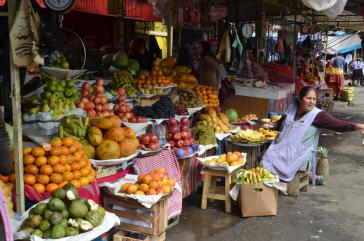 Cochabamba ist nicht nur der Umschlagort für die Obsternte, laut aktuellen Berichten wird hier auch vermehrt Koka angebaut