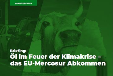 Handel auf Kosten der Umwelt: Das Briefing von PowerShift zeigt die Risiken des EU-Mercosur-Abkommens für Wälder, Klima und lokale Gemeinschaften auf
