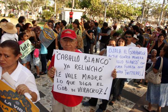 Protestierende mit Bannern über das Bergbauvorhaben Caballo Blanco