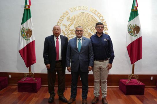 Die Leitung der mexikanischen Migrationsbehörde und guatemaltekische Diplomaten trafen sich, um über die humanitäre Betreuung der Verletzten und ihrer Familien zu beraten.
