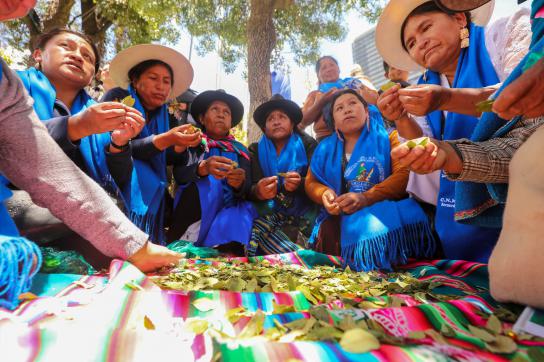 Kokablätter beim Tag des Kokakauens in La Paz